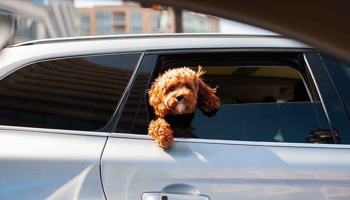 Is EV car successful in India